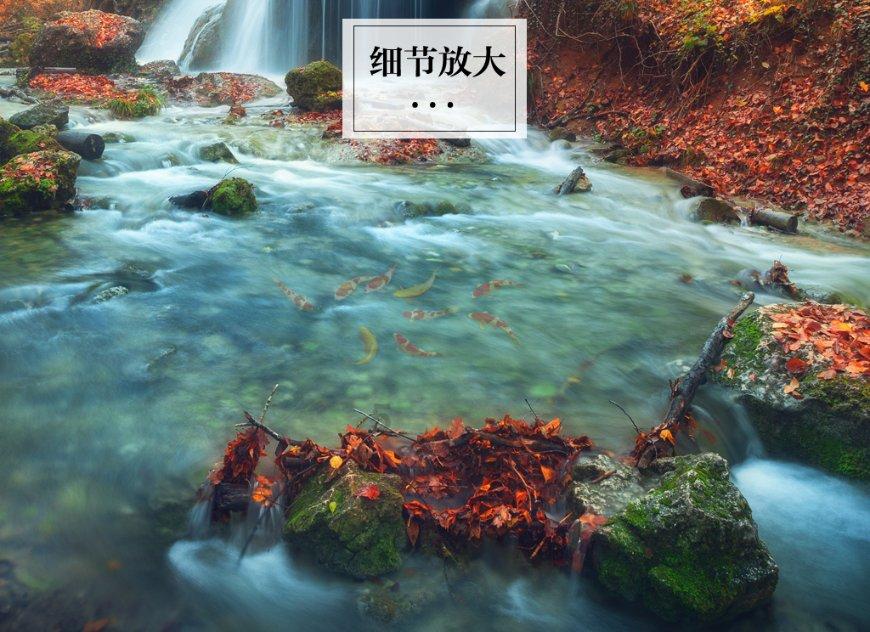 龙江这一年｜不断提升保障水平 书写美好民生答卷